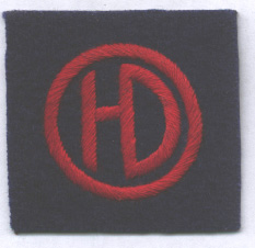 51st (Highland) Infantry Division badge