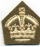 WO3 & Staff Sergeants Rank Badge