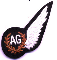 RAF Air Gunners Wings