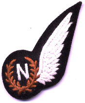RAF Navigators Wings