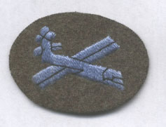 Glider born troops badge