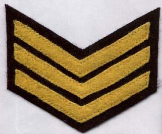 Head Warden Badge