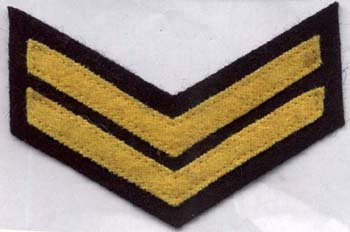 Senior Wardens Badge